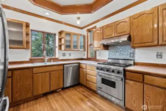 Propane Viking Stove