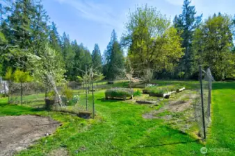 Fenced off garden area with raised garden beds.
