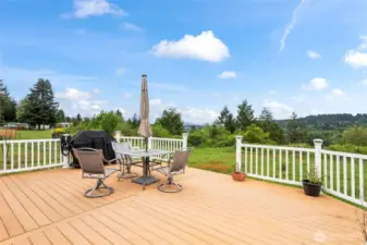 Not only does this deck allow for easy entertaining but there's plenty of yard on this property to roam and play, too!
