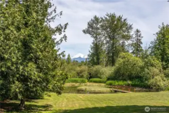 Mount Baker!