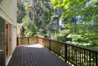 The deck runs the full width of the house and looks out to the trees to the west.