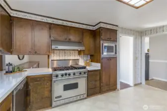 Huge 6-burner Viking gas stove