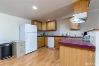Large 2nd kitchen in the basement, complete with sink, stove, dishwasher and fridge!