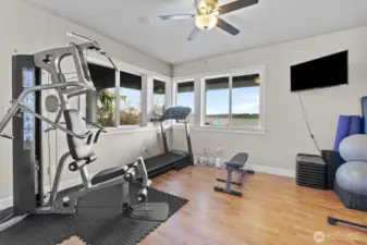 Lower Level Bonus/Gym Room