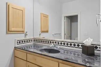 Lower Level Full Bathroom