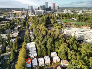 City of Bellevue living