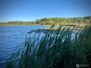 Scott Lake