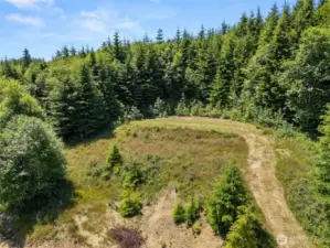 Building site is cleared and level with views over the treetops of the Naselle River Valley.