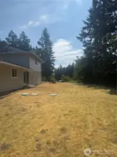 Back yard