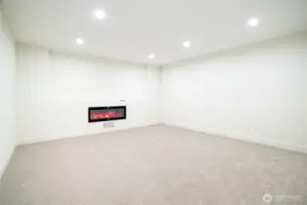 Theatre Room/ Flex Space