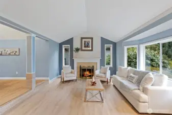 Vaulted-ceiling  Living room