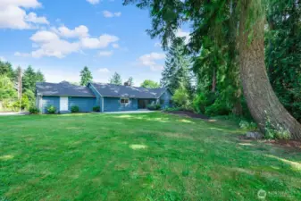 Back yard looking toward the house. Abundant grassy area for lawn games and gatherings.