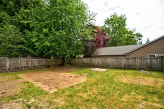 Large, partially fenced back yard.