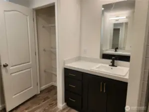 Primary bathroom has a large closet for linens and other items, as well as the beautiful dark cabinetry.