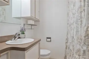 Main floor full bathroom