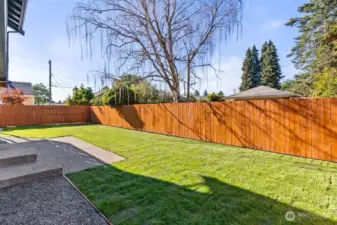 Beautiful private backyard. New fence. New landscaping.