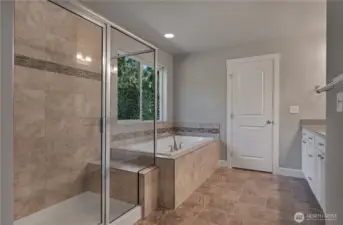 Huge shower and separate tub.