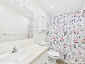 Hall bathroom with tub