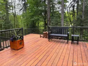 Large Deck