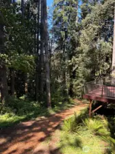 Property's NatureTrail