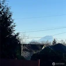 View of Mt Rainier from the street.