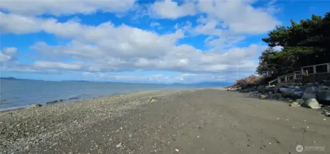 Beach walking at its best