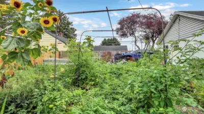 Big Flower & Vegetable  Garden