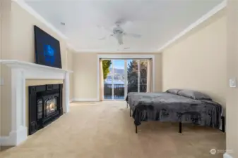 Primary Bedroom. Juliet Balcony and Fireplace - Main Home