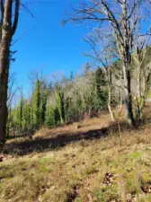 Building site to eastern side of property.