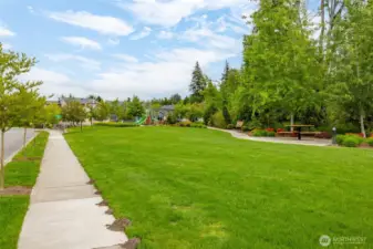 Community Park and Playground