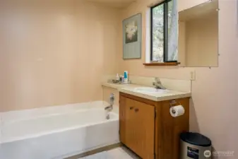 Lower Bathroom