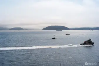 Orca whale sightings have been more frequent in this channel