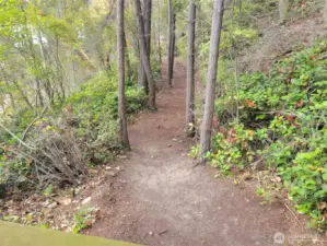 Well maintained and gentle trail to the beach