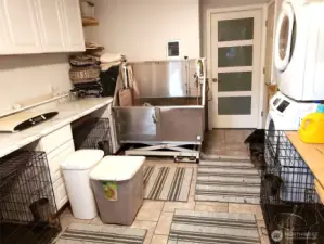 Utility room, fancy adjustable height bathing tub negotiable.