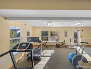 Gym area in the community club house