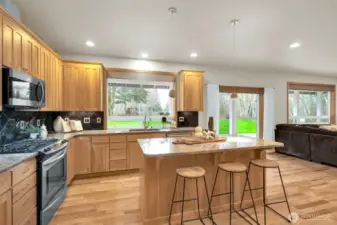 Kitchen offers clear views to the backyard + patio- perfect for indoor/outdoor entertaining.