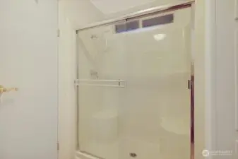 Guest bathroom walk in shower