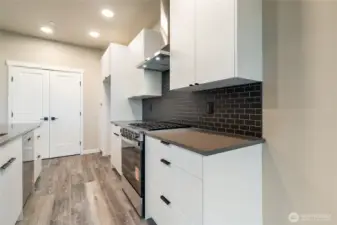 Solid surface counters in kitchen & throughout