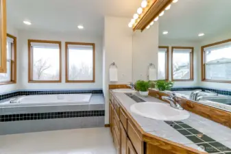 Primary bathroom with shower, soaker tub, dual vanity and walk in closet