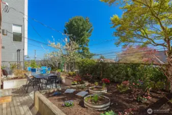 Private patio in backyard with planting area