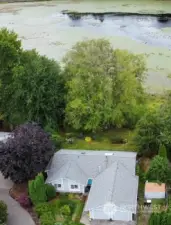 Aerial view of home with mature landscaping and large backyard.