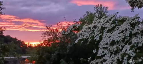 Spring sunset off back deck