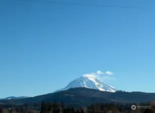 Mt rainier view