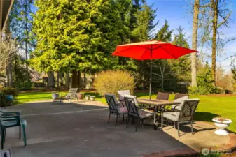 Beautiful backyard with privacy and nature as neighbors