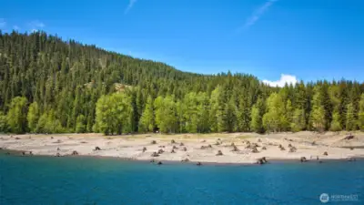 Kachess Lake in the Okanogan-Wenatchee National Forest - Home to Diverse Wildlife and Rich Natural Beauty