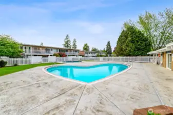 The community pool.