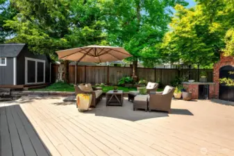 You've been patiently waiting and now you are rewarded. Here is the outdoor oasis. I don't use that word lightly as you have everything you could want/need in an outdoor space. Expansive deck with so much room to entertain or sun yourself.