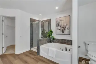 Primary Bath/Shower/Walk-in Closet