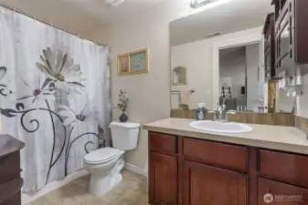 Lower level full bath.