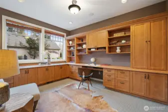 formal office, build-ins